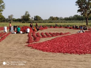 Sherthawala Spices